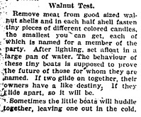 walnut boat test